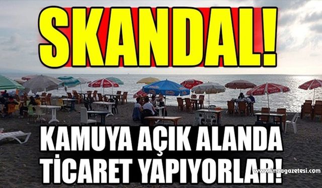 Millet ahmak bir tek bunlar mı akıllı?