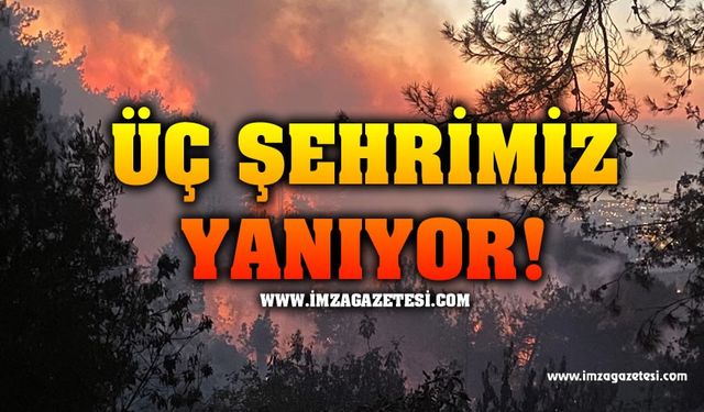 Akdeniz alevlere teslim... Üç şehrimiz alev alev yanıyor!