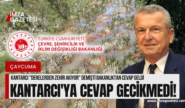 Bülent Kantarcı çağrıda bulundu, Çevre, Şehircilik ve İklim Değişikliği İl Müdürlüğü harekete geçti!