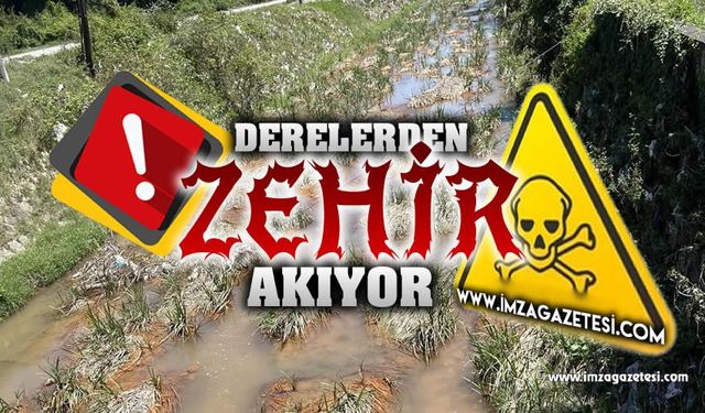 Bülent KANTARCI: Çaycuma derelerinden  "Zehir" akıyor