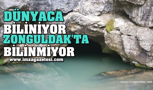 Dünyaca Biliniyor Zonguldak'ta Bilinmiyor!