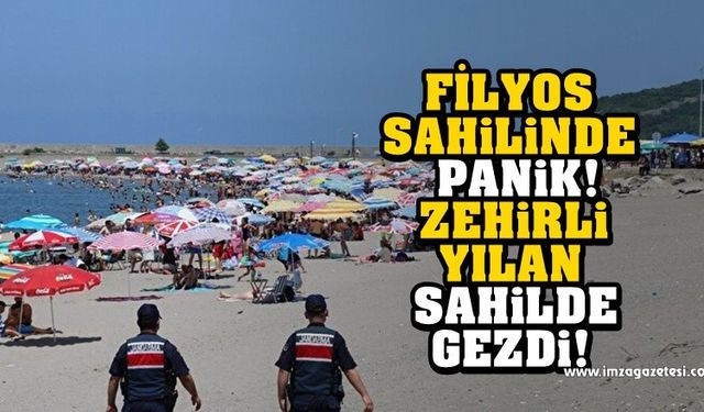 Filyos sahilinde zehirli yılan paniği!