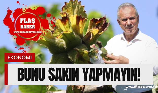 Fındık için uyarı! Bunların yapılmaması istendi...