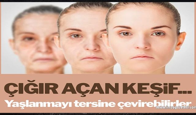 Bilim insanlarından çığır açan keşif: Yaşlanmayı tersine çevirebilirler…