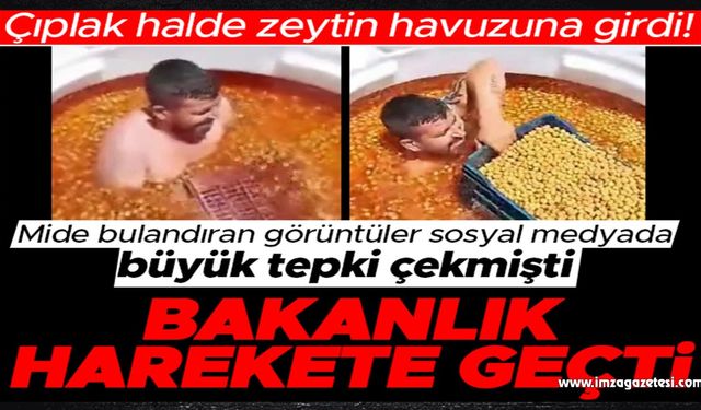 Çıplak şekilde zeytin havuzuna girdi!..