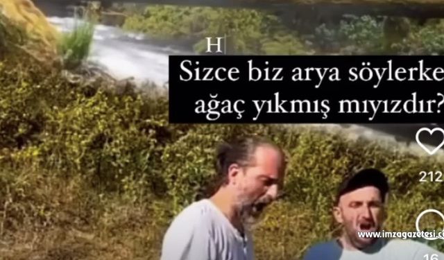 Zonguldaklı Hasan Doğru, sesiyle ağaç devirdi