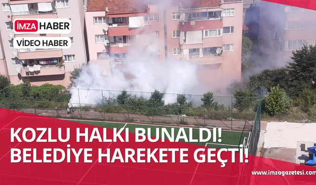 Kozlu halkını bunaltmıştı! Belediye harekete geçti!