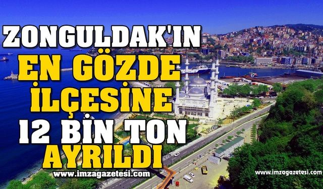 Zonguldak'ın En Gözde İlçesine 12 Bin Ton Ayrıldı!