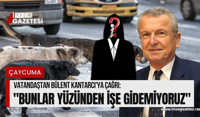 Vatandaştan Bülent Kantarcı'ya çağrı! "İşe gidemiyoruz"