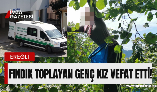 22 yaşındaki genç kız fındık toplarken kalp krizi geçirdi!