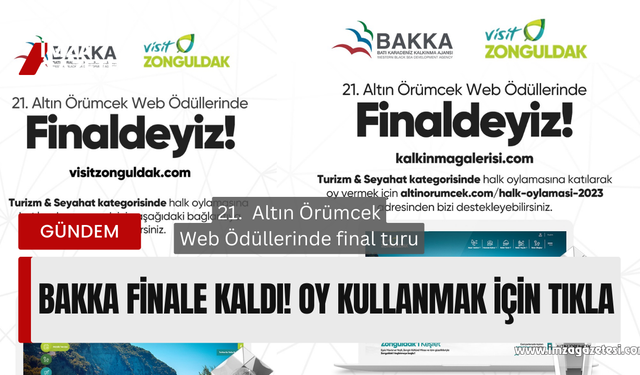 BAKKA 21.  Altın Örümcek Web Ödüllerinde finalde