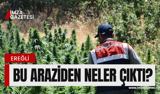 Bu araziden neler çıktı?