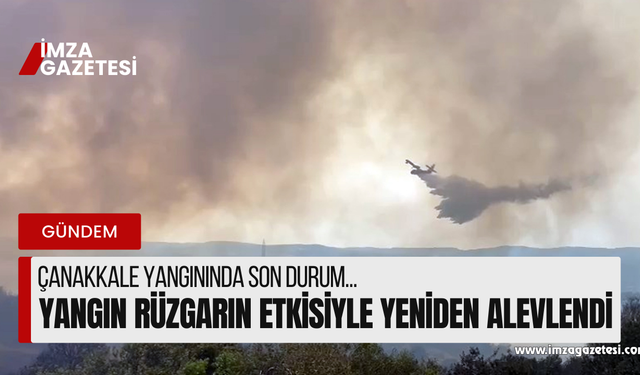 Çanakkale yangını yeninden alevlendi...