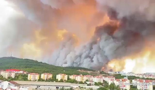 Çanakkale'de orman yangını! Hangi köyler boşaltıldı?