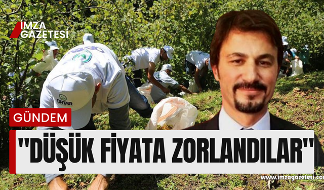 CHP  Zonguldak Milletvekilinden cumhurbaşkanı Erdoğan'ın açıkladığı fındık fiyatına tepki!