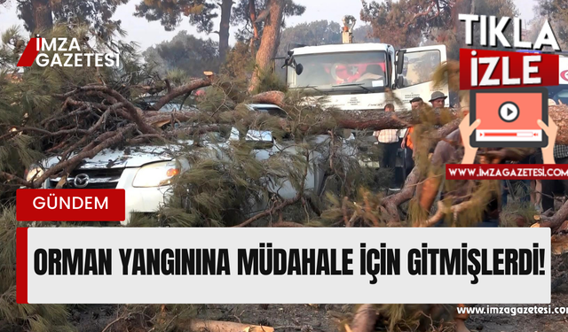 Ekipler faciayı yaşadı! Çanakkale'de çıkan orman yangınına müdahale için gittiler