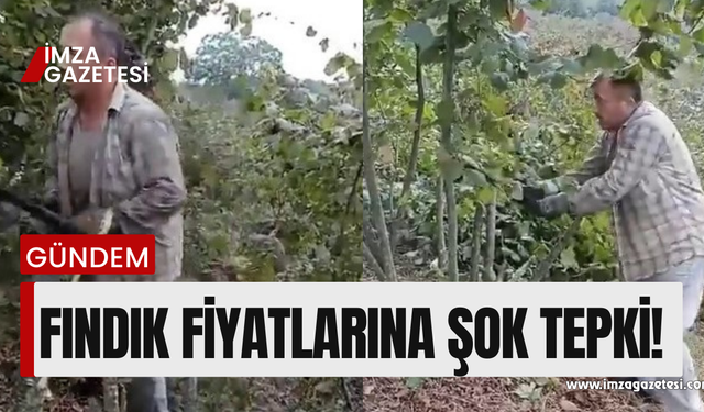 Fındık fiyatına böyle tepki gösterdi!