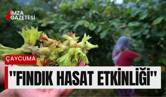 "Fındık Hasat Etkinliği" yapılacak