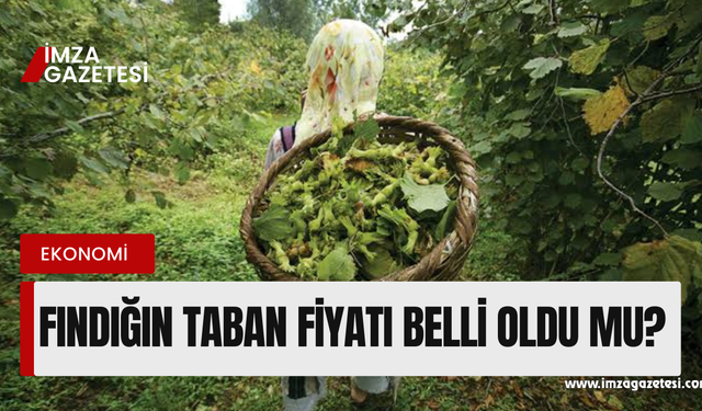 Fındığın taban fiyatı belli oldu mu?