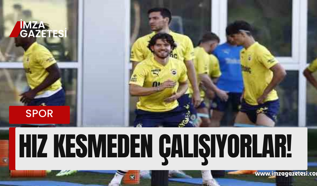 Fenerbahçe hız kesmeden çalışmalara devam ediyor