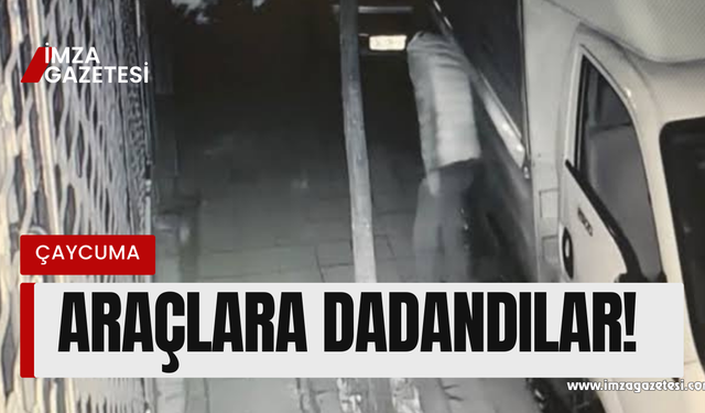 Kurumların mazotlarını çalan hırsızlar yakalandı!