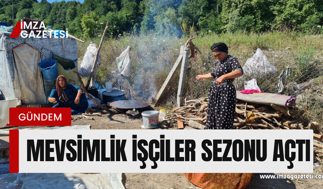 Mevsimlik işçiler fındık sezonunu açtı!