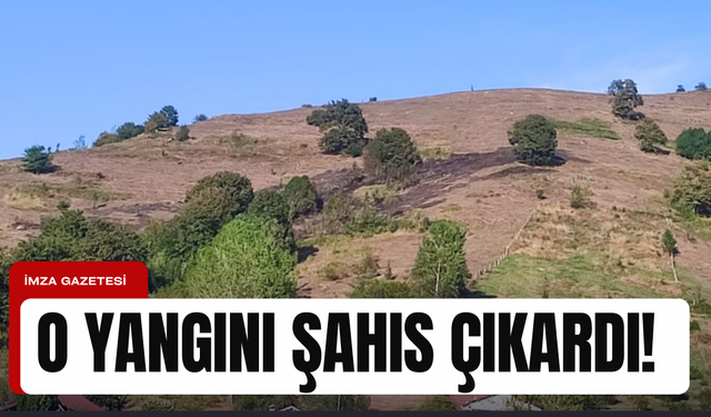 Zonguldak'ın ilçesindeki yangını çıkartan şahıs yakalandı