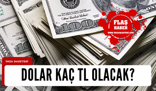 Yatırımcıların merakla beklediği soru dolar kaç TL olacak?