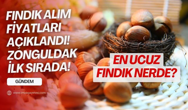 Fındık alım fiyatları açıklandı! Fındık fiyatları ne kadar?