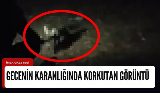 Gece karanlığında ortaya çıktı gözlerinden ateş püskürdü