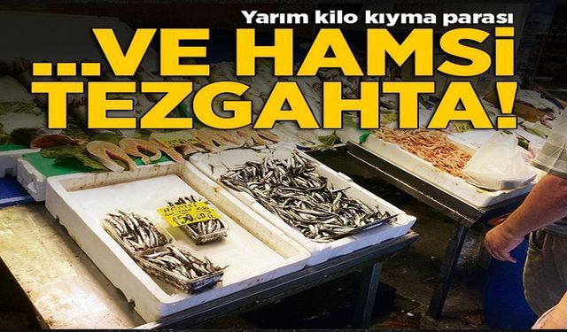 Hamsi tezgahlara 150 TL’den çıktı!..