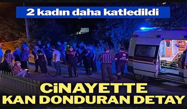 2 kadın daha katledildi: Cinayet işlemiş cezaevinden çıkmış!..