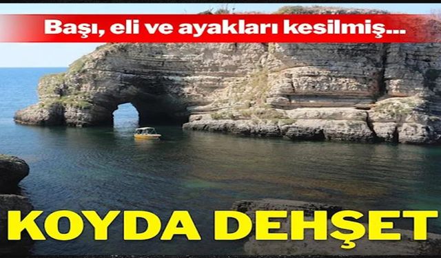 Baş, el ve ayakları kesilmiş kadın cesedi bulundu!..