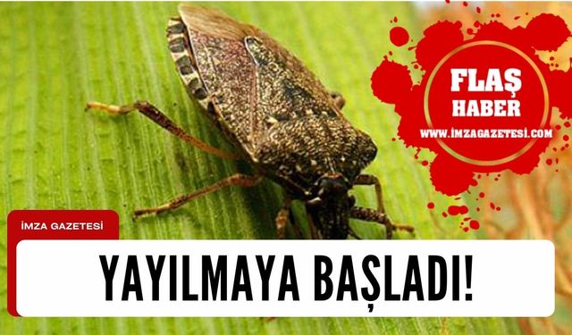 Yayılmaya başladı!