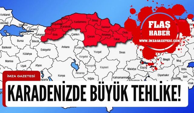 Karadeniz'de büyük tehlike! Fındık üreticisinin en büyük kabusu oldu!