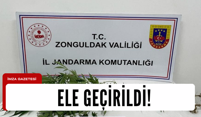 Jandarma'dan arama operasyonu!