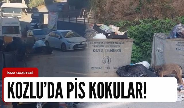 Vatandaş isyan etti! Kozlu’da büyük rezalet