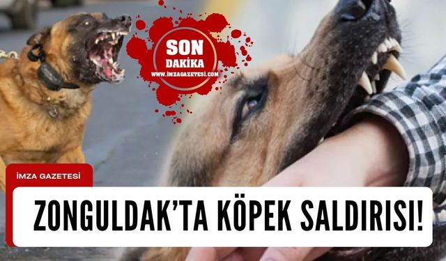 Zonguldak'ın ilçesinde sokak köpekleri motorlu kuryeye saldırdı!