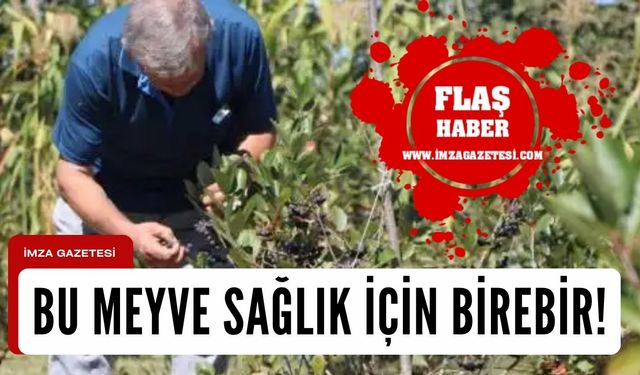 Eşinin sağlığı için yetiştirdiği meyveye talep yetişmiyor!