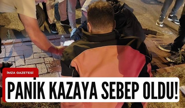 Panikleyen sürücü kaza geçirdi!