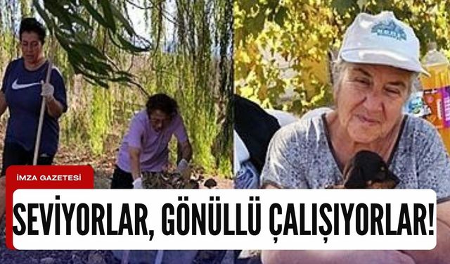 Sevgiye ihtiyaç duyan hayvanlar için gönüllü çalışıyorlar!