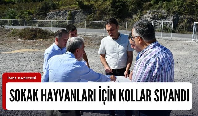 Sokak hayvanlarına bakım merkezi ve hayvan hastanesi kurmak için harekete geçtiler!