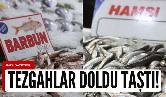 Zonguldak'ta balık yoğunluğu yaşanıyor!