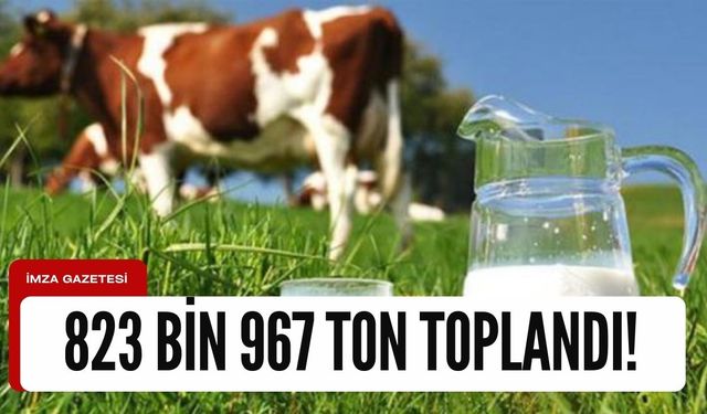 823 bin 967 ton inek sütü toplandı!