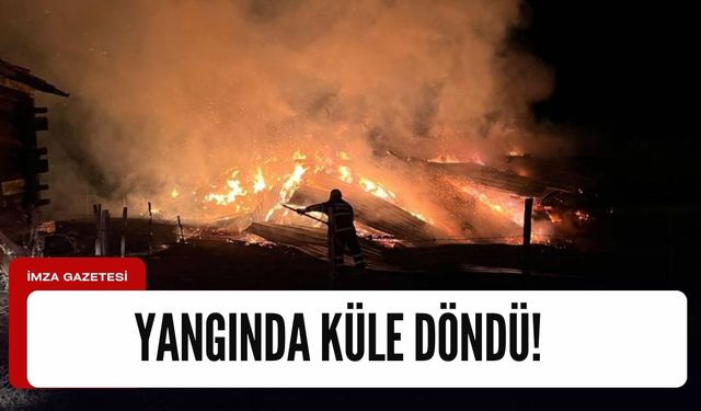 Kastamonu'da büyük yangın! Küle döndü....