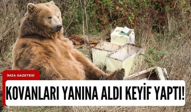 Kovanları yanına topladı keyif yaparak bal yedi!