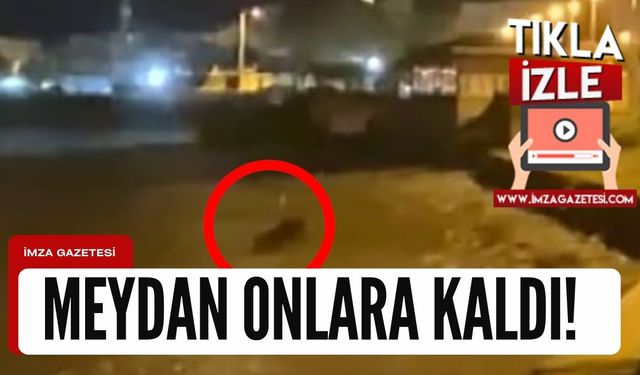 Sahilin tadını bu kez onlar çıkardı!