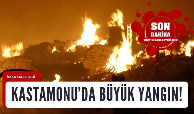 Kastamonu'da 43 ev yandı!