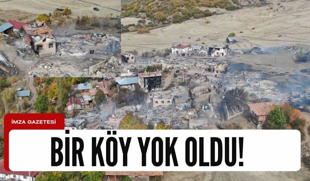 Yaşanan yangın sonrası köy yok oldu!