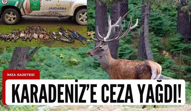 Zonguldak, Ordu, Trabzon, Rize, Bartın, Giresun, Kastamonu'da kaçak avcılığa ceza!